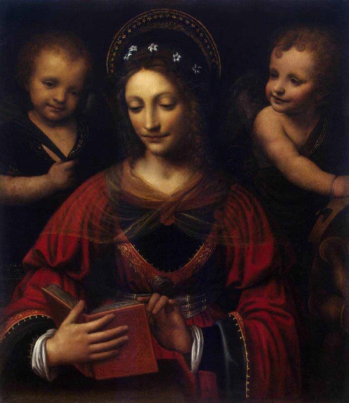 Bernardino Lanino Saint Catherine